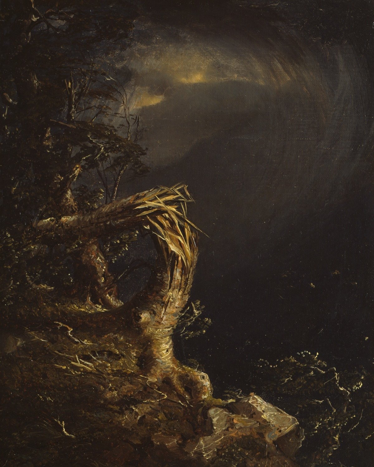 Blasted Tree, Jasper Francis Cropsey