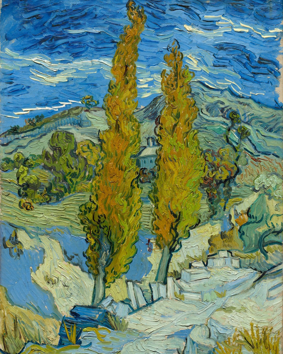 Two Poplars in the Alpilles near Saint-Rémy, Vincent van Gogh