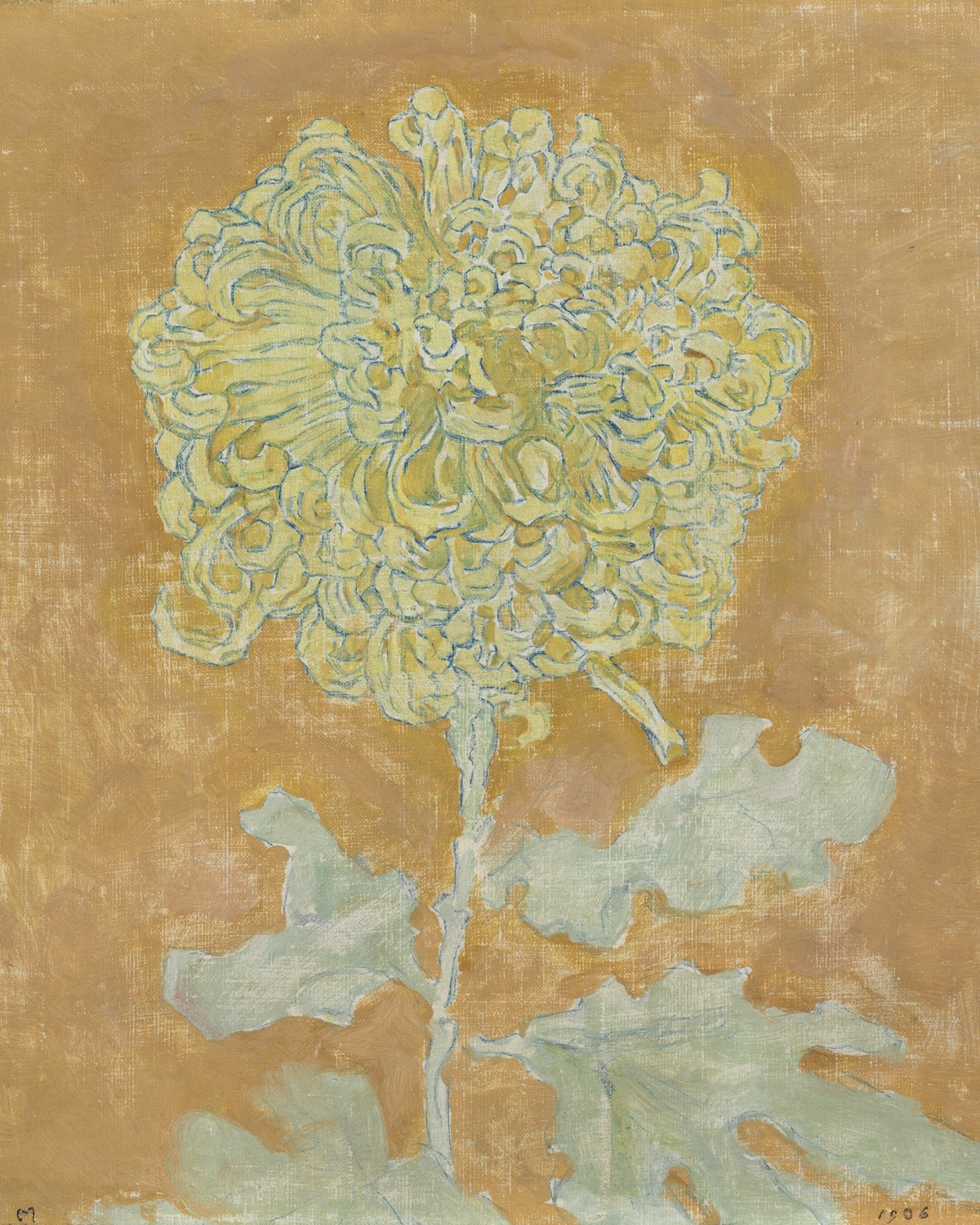 Chrysanthemum, Piet Mondrian