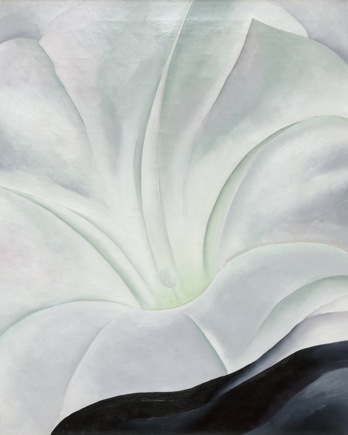 Morning Glory with Black, Georgia O'Keeffe