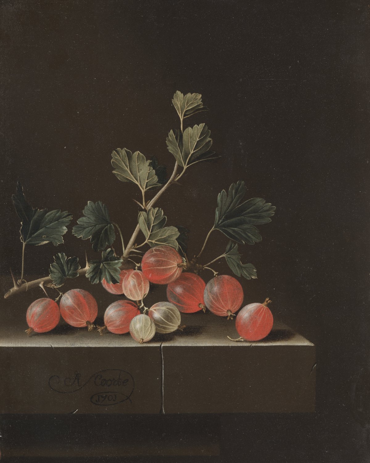 Gooseberries on a Table, Adriaen Coorte