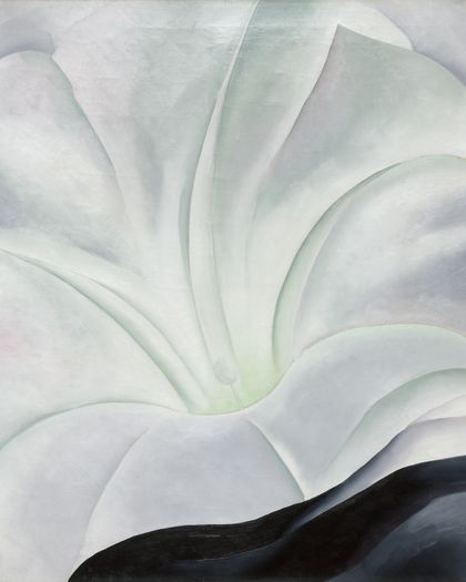 Morning Glory with Black — Georgia O'Keeffe